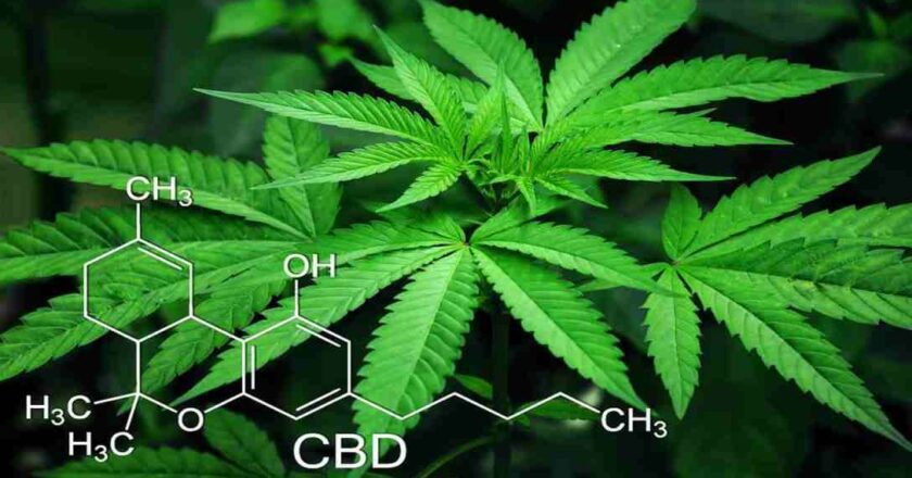 Gomme alla marijuana per attenuare i dolori della fibromialgia