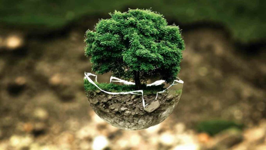 8 scelte green per salvare il pianeta ogni giorno