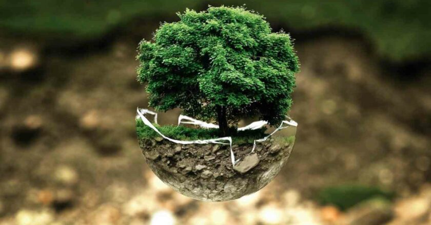 8 scelte green per salvare il pianeta ogni giorno